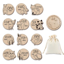 13 Pcs Baby Monthly Milestone Cards Sign, Wooden Newborn Baby Announcement Sign, Wooden Monthly Cards Hello World Baby Birth Announcement Milestone Discs Photography Props