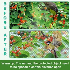 Bird Protection Net, 2 m x 3 m Chicken Net, Garden Net, Poultry Net, Pond Net, Fruit Protection, Pool Net, Mesh 4 cm, UV-Resistant, Robust & Reusable, for Garden, Balcony or Pond