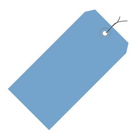 Aviditi Wired Shipping Tags, 5 3/4" x 2 7/8", 13 Pt, Green, with Reinforced Eyelet, to Identify Or Address Items That Cannot be Labeled and to Color Code Shipments, Case of 1000