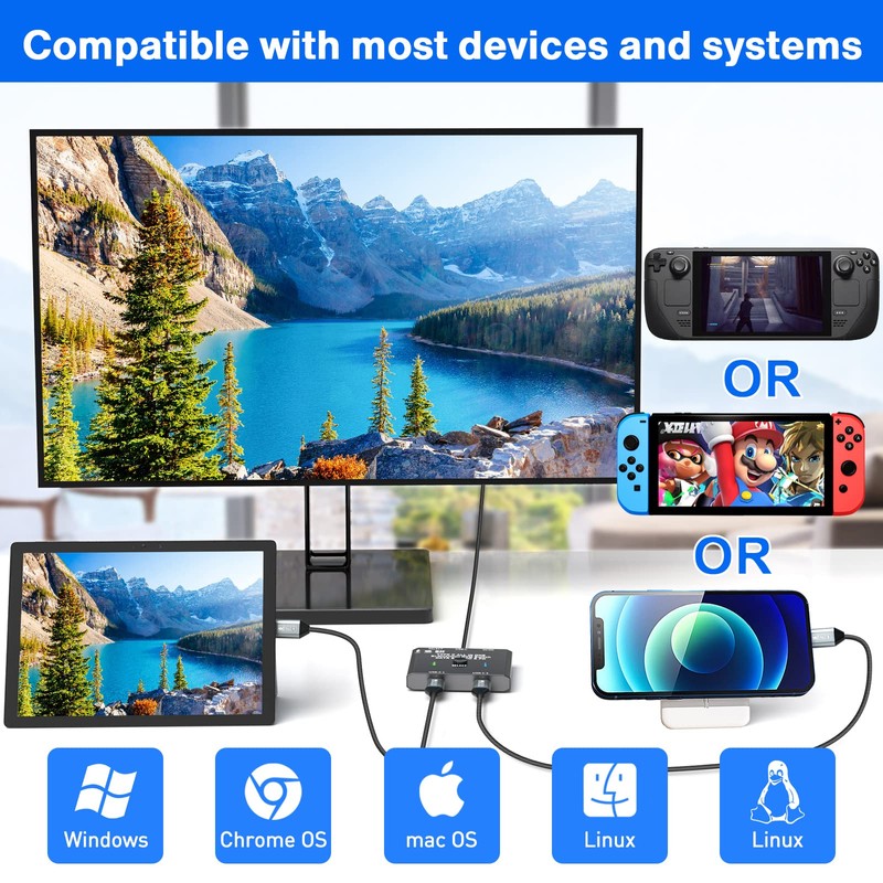 USB C Switch 2 in 1 Out/1 in 2 Out