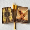 Tzxamsez Career Oracle Cards Deck, Money and Life Oracle Cards,