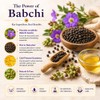 Deve Herbes Pure Babchi Oil (Psoralea corylifolia) with Glass Dropper