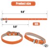 ChengFu XXS Dog Collar Teacup Dog Collars, Orange Dogs Collars,