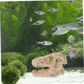 Ciieeo Resin Dinosaur Skull Model Simulated Skull Decoration for Office Display Compact Reptile Decor for Desks and Bookshelves for Dinosaur Enthusiasts and Collectors