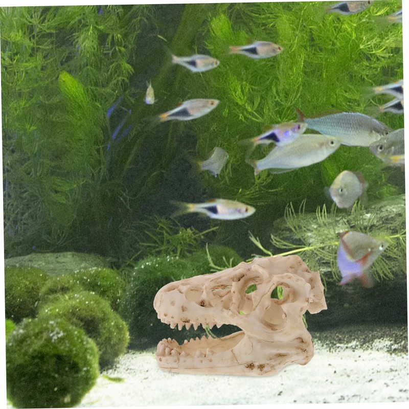 Ciieeo Resin Dinosaur Skull Model Simulated Skull Decoration for Office