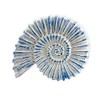 roro Handcarved Nautical Coastal Wood Nautilus Shell Wall Hanging, Blue