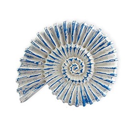 roro Handcarved Nautical Coastal Wood Nautilus Shell Wall Hanging, Blue Wash