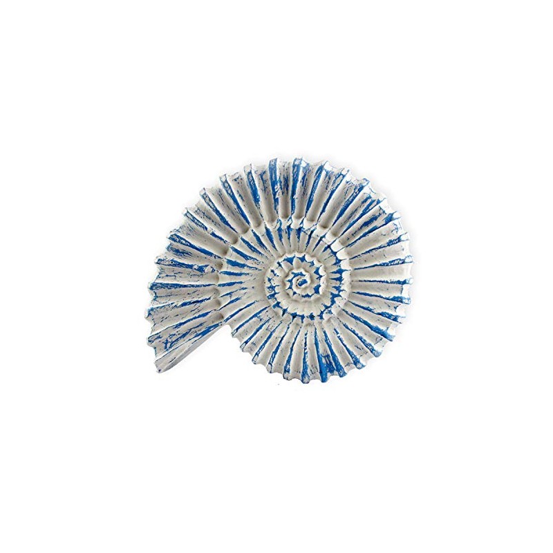 roro Handcarved Nautical Coastal Wood Nautilus Shell Wall Hanging, Blue