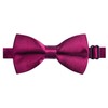 Alizeal Pre-tied Boy's Bow Tie Fancy Plain Adjustable Bow ties,