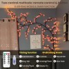 does not apply Cherry LED Tree Branch Lights for Wall,