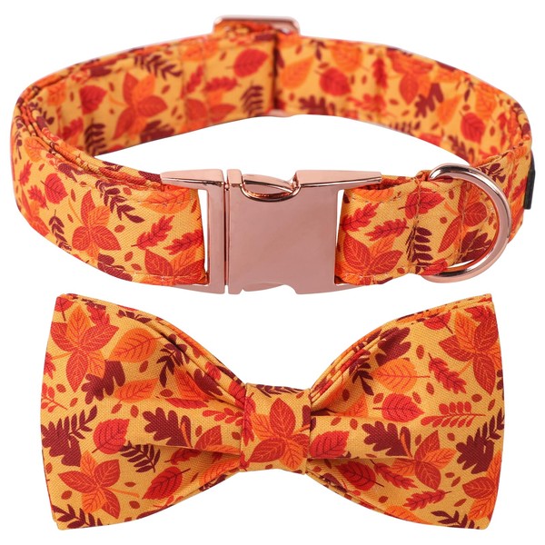 Lionet Paws Autumn Dog Collar with Bow Tie, Red Leaves