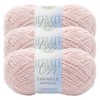 (3 Pack) Lion Brand Yarn Chenille Appeal Yarn, Peach Whip