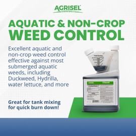 Diquat Weed Killer, Fast-Acting Formula for Aquatic and Landscape Weeds, Safe on Ornamentals, Visible Results in 1-2 Days, Pet Safe, 3-Pack of Disposable Gloves Included, 32 Ounces