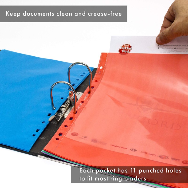 Pukka Pad, Concord A4 Coloured Punched Pockets – 1 Pack