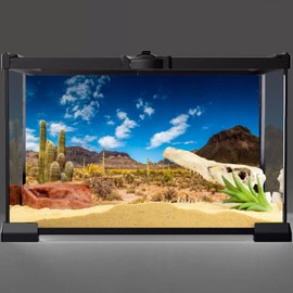 AWERT 72x18 inches Reptile Habitat Background Blue Sky Oasis Cactus Desert Terrarium Background Vinyl
