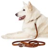 HUNTER Leash Solid Education, 11/110 Soft genuine cow leather, cognac