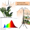 WTINTELL LED Plant Grow Light with Stand, LED Grow Light