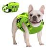 Queenmore Small Dog Life Jacket,Small Dog Life Vest for Swimming,Adjustable