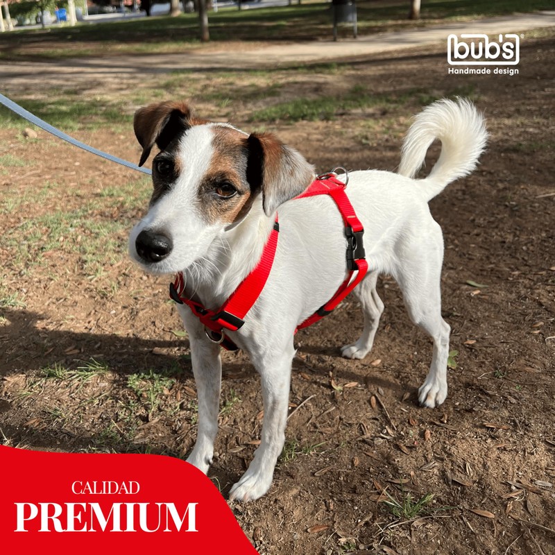 bub's Anti-tug Dog Harness Medium (Red)