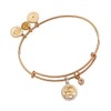 Alex and Ani Zodiac Bangle