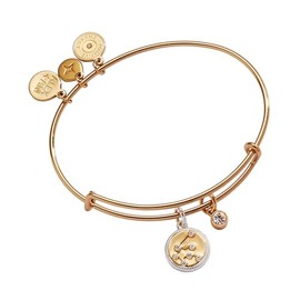 Alex and Ani Zodiac Bangle