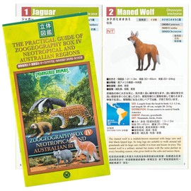 Carolata Animal Geographic District 4, New Tropical and Australian District (3D Picture Book), Southern Hemisphere, Mammals, Birds, Realistic Figure Box, Includes Explanation, Food Sanitation Act Clear, 12 Types