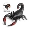 Animal Model Figures Simulation TPR Rubber Scorpion Figure Stress Relief