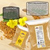 Rani Yellow Mustard Seeds Whole Spice 14oz (400g) ~ Ideal