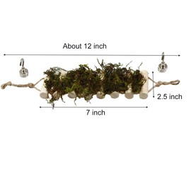 Handmade Jumping Spider Enclosure with Natural Moss Solid Wood Climbing Rope Bridge as Jumping Spider Accessories or Hideout Suspension Bridge Spider Jump Platform a Decor for Small Reptile Hide