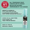 L'Oreal Paris Hair Color Root Cover Up Temporary Gray Concealer