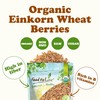 Food to Live - Organic Einkorn Wheat Berries, 10 Pounds