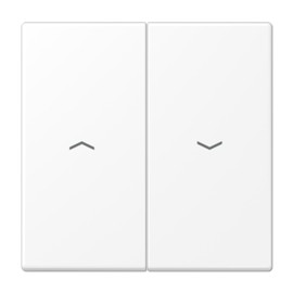 Jung LS995PWWM Double Button Roller Shutter White Matt