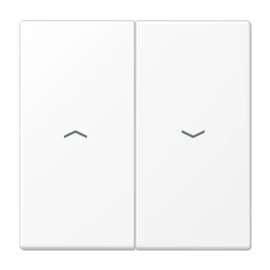 Jung LS995PWWM Double Button Roller Shutter White Matt