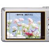 Hakuba Digital Camera LCD Protective Film markiicasio EXILIM zs210/zs190 Dedicated