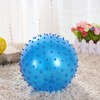 teytoy 8.6 Inch 5 Pack Sensory Balls with Pump Inflatable