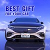 Blue White Porcelain Floral License Plate Frame Flowers Trees License