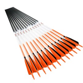 Linkboy Archery Carbon Arrows Hunting Practice Target Arrows Fluorescent with Removable Tip for Compound Recurve Long Bows, Spine 250 300 340 400 500 600 700 800, Pack of 6/12PCS
