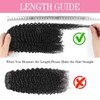 Geogroket Kinky Curly Clip in Hair Extensions for Women 3C