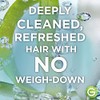 Garnier Whole Blends Refrescante agua de coco y extractos de