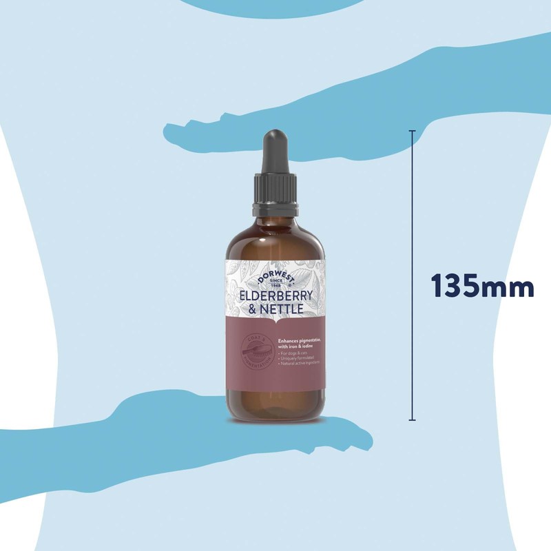 Elderberry & Nettle Extract for Dogs 100ml. Pure herbal extracts
