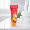 Calgon Hawaiian Ginger Skin Nourishing Body Cream 8 Oz /