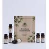 Aromax Aromatherpy Aromax Essentials 6-Pack Top Essential Oils Set