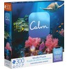 300-Piece Calm Puzzle for Adults and Kids Ages 8 and