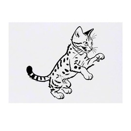 'Egyptian Mau Cat Playing' Temporary Tattoo - Water Resistant, Skin-Safe, Non-Toxic Transfer (TO00071355)