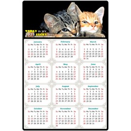2025 Magnetic Calendar - Calendar Magnets - Today is my Lucky Day - (Fade, Tear, and Water Resistant) - Cat Themed 010 (5.25 x 8)