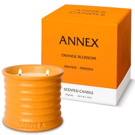 Scented Winter Balsam Fir Candles, Luxury Gifts for Women & Men, Home Large 8oz Candels- Aromas of Rose, Pine, Tea Coffee Thymes in Red, Pink, Cotton Wicks, Natural Soy Wax, No Beeswax – Annex Candle