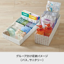LIKE-IT 9025 Storage Box, Storage Case, Retort Food Storage, Retort Curry, Small Storage, Brix 350, Middle L, White, Approx. 5.5 x 13.8 x 4.9 inches (14 x 35 x 12.5 cm)