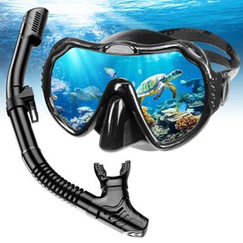 Snorkel Set Adult Snorkel Packages with Anti-Fog Panoramic View, Swimming Goggles, Dry Snorkel Set, Suitable for Snorkelling, Diving, Swimming (Black)