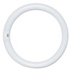 Satco S6500 Fc8t9/Cw/Rs 22w Fluorescent W/ 4 Pin Base -