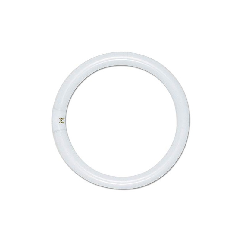 Satco S6500 Fc8t9/Cw/Rs 22w Fluorescent W/ 4 Pin Base -